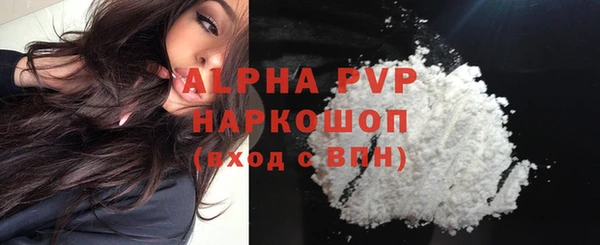 шишки Белокуриха