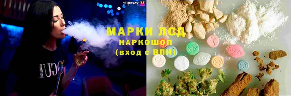 шишки Белокуриха