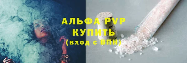 шишки Белокуриха