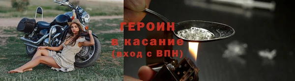 шишки Белокуриха