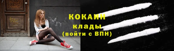шишки Белокуриха